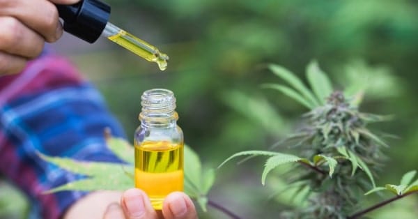 לאילו כאבים מסייע שמן CBD ואיך כדאי ליטול אותו?